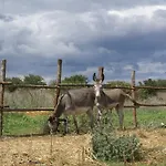 Agriturismo Mura مزرعة للإقامة *