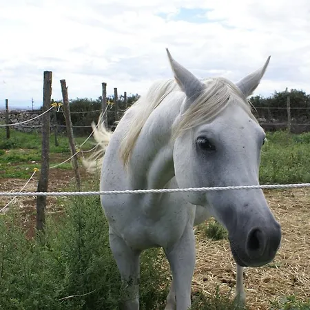 בית חווה Agriturismo Mura *