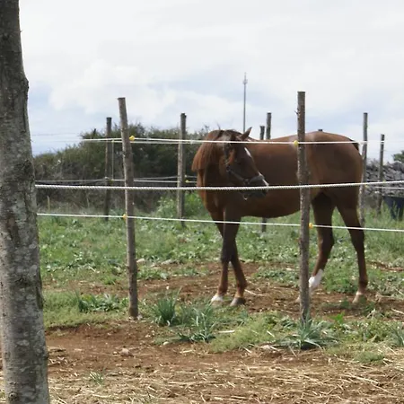 בית חווה Agriturismo Mura אלטאמורה