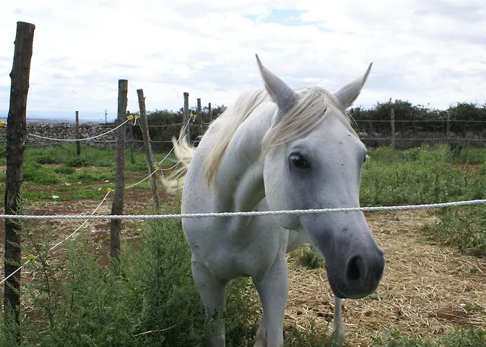ファームステイ Agriturismo Mura *