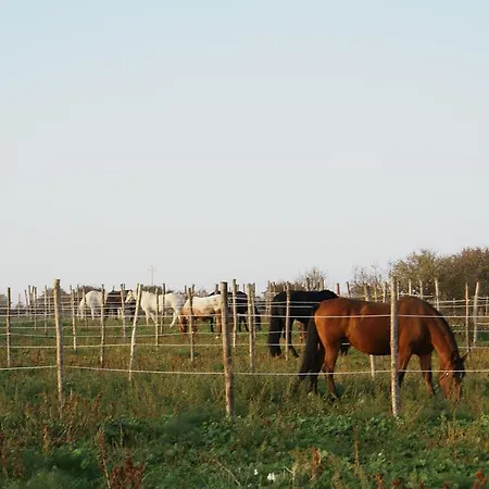 Agriturismo Murà *